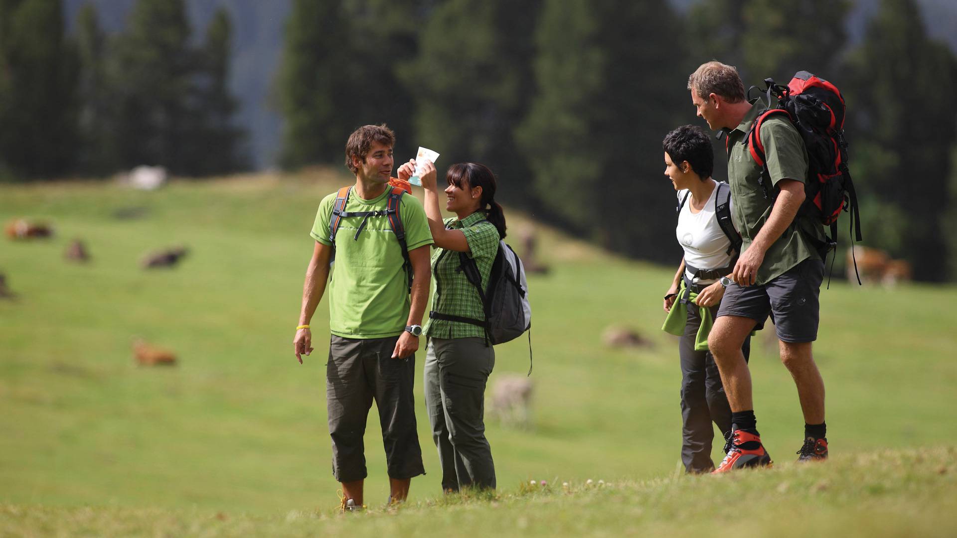 Activity holiday in South Tyrol, hiking around Merano/Meran, Caldaro/Kaltern and in the Dolomites